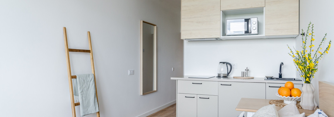 Ekonominio tipo studija